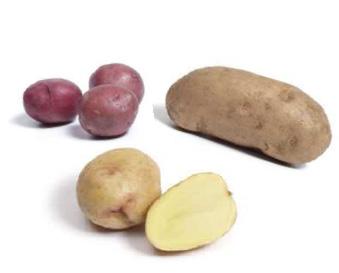 Selecting Potatoes The potato is the most popular vegetable in the world. There are lots of great ways to eat potatoes. Most of a potato s nutrients lie just below the skin.