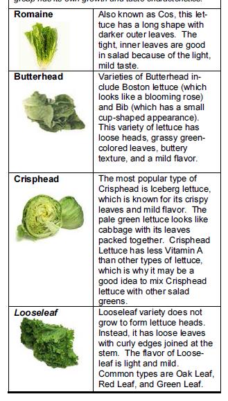 Some studies have shown that eating foods with lutein may protect against some age related eye disorders. Lettuce Varieties Availability Lettuce is inexpensive and available year-round.