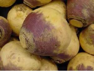 (like rutabaga, broccoli, cabbage, and Brussels sprouts) have nutrients that may be cancerfighting and good for your health. Bright colors.