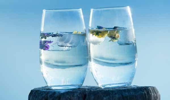 GLASSWARE LUIGI BORMIOLI - MAGNIFICO MAGNIFICO The Magnifico range features tumblers which are characterised by a classic design with precise features.
