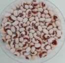 Common crop name Cowpea Common crop name Cowpea Accession name BGE022146 Accession name BGE038474 Acquisition date Acquisition date - Country of origin Spain Country of origin Spain 37 00 35 N, 3 00