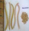 Common crop name Cowpea Common crop name Cowpea Accession name BGE038477 Accession name BGE038478 Acquisition date - Acquisition date - Country of origin Spain Country of origin Spain 36 36