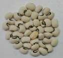 Common crop name Yard long bean Common crop name Cowpea Accession name BGE044375 Accession name IT-97K-499-35 Acquisition date - Acquisition date -- Country of origin Spain Country of origin