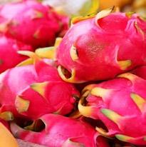 Dragon Fruit and Grape Water The neon-colored dragon fruit is a true nutritional powerhouse, packing in vitamins C, B2, and B3, as well as minerals iron, phosphorus, and calcium.