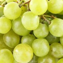 The green grapes are brimming with cancer-fighting properties and the honey and mint