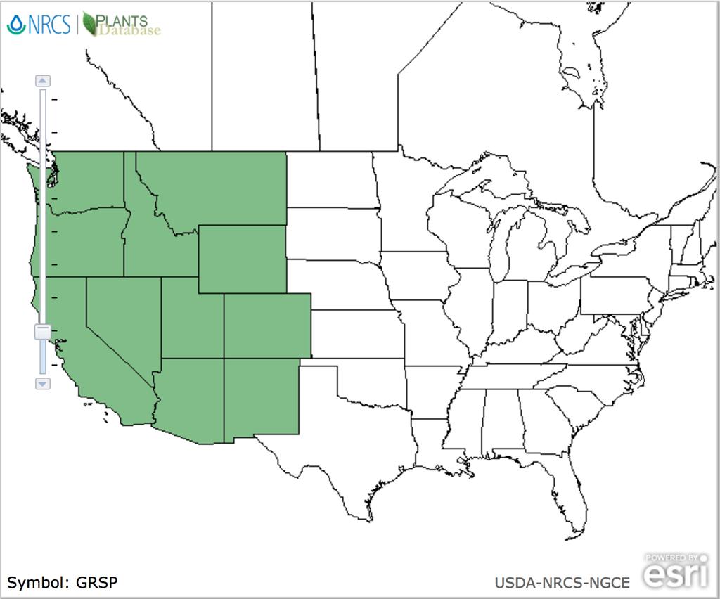 (as per USDA Plants database) Geographical range GENERAL INFORMATION Range is throughout all of the western United States, including central Washington, southeaster Oregon,