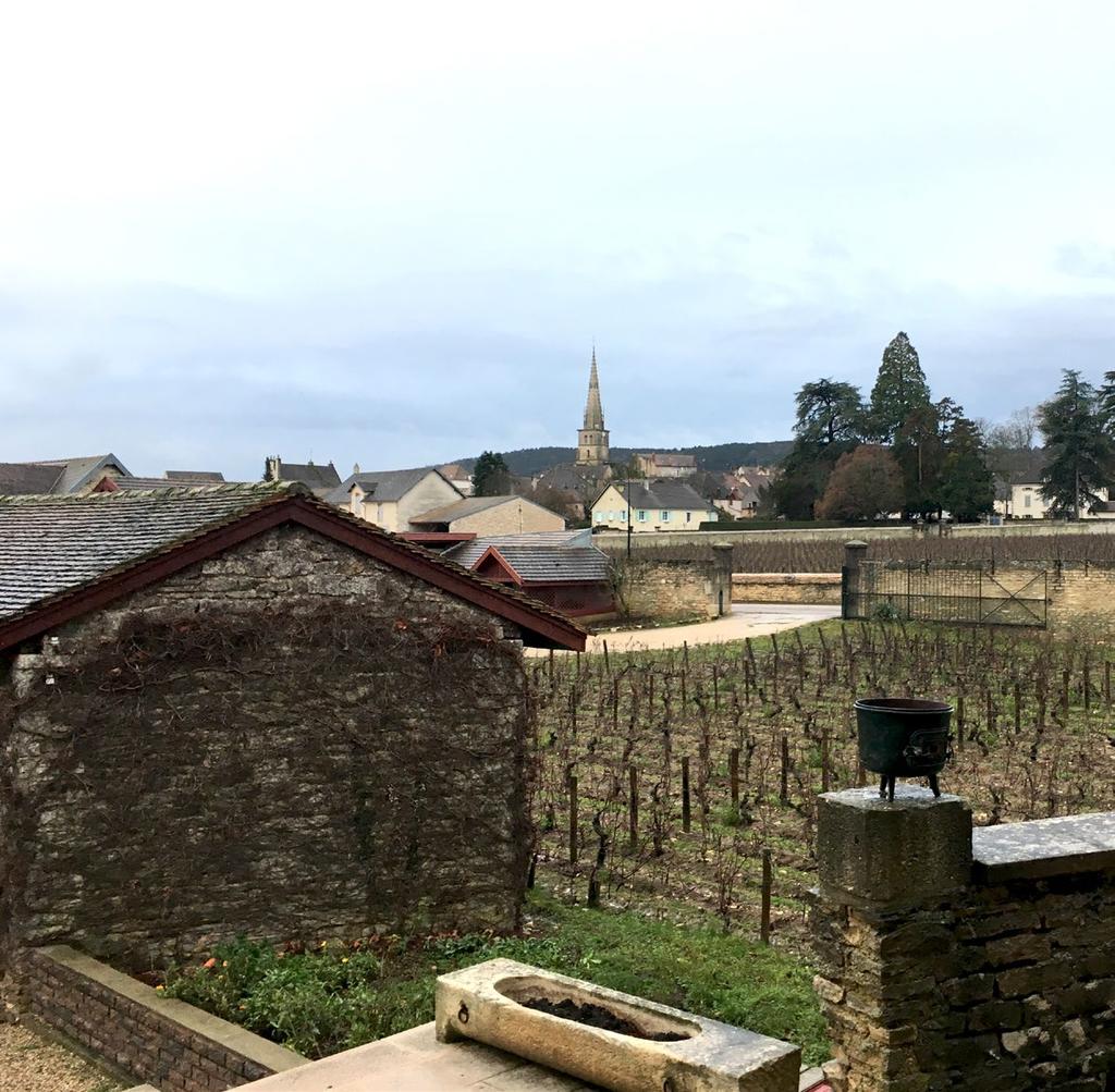 DOMAINE JACQUES PRIEUR Domaine Jacques Prieur has nine grands crus from Musigny to Le Montrachet and fourteen premiers crus from Puligny- Montrachet to Beaune.