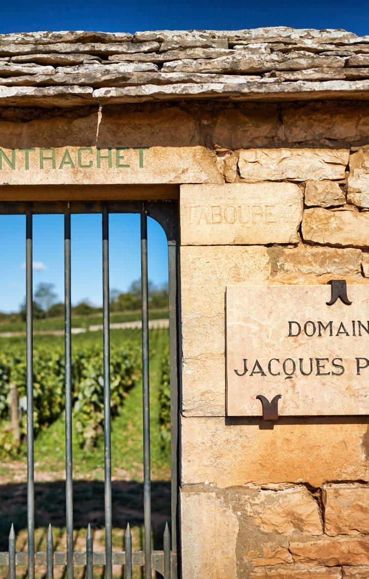THE HOLDINGS THE VINEYARDS APPELLATION HECTARES AVERAGE AGE OF VINES GRANDS CRUS Chambertin (including Clos de Bèze) 0.9 ha 41 years 80% Musigny 0.8 ha 45 years 50% Clos Vougeot 1.