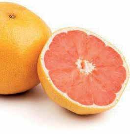 Grapefruit MARLENE S SOUND OUTLOOK 16 oz.
