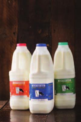LOCAL MILK FROM CORNISH FARMERS Family run Trewithen Dairy has been in the business of milk for years; and when it comes to cows, Trewithen s 25 farmers - none further than 25 miles away - believe