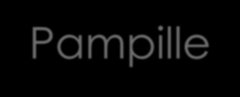 Pampille Light, brilliance, refinement New shape inspired