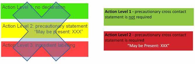 Action Level Concept VITAL 2.