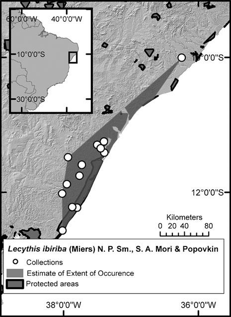 14 Page 12 of 19 KEW BULLETIN (2016) 71: 14 Map 18. Distribution of Lecythis ibiriba. occurrence, which results in a very narrow bounding polygon and a smaller EOO estimate compared to the AOO.