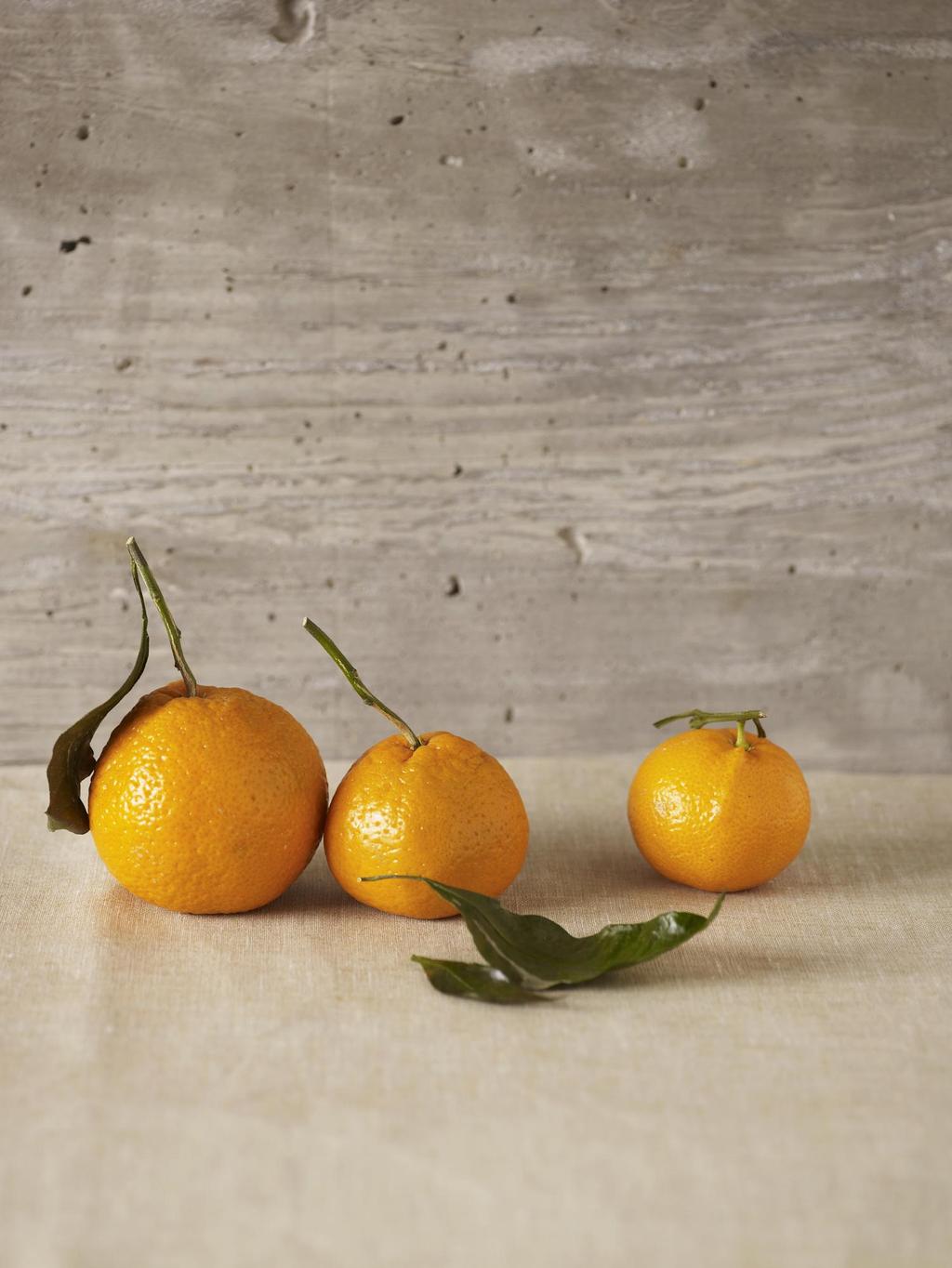 The smell of citrus is guaranteed to wake up your senses and lift up your mood especially on a cold winter day.