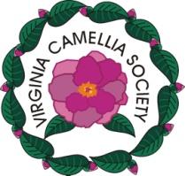 Camellia Columns July 2013 A publication of the Virginia Camellia Society P.O.