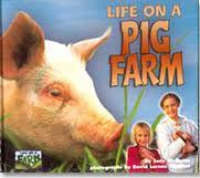 Life on a Pig Farm