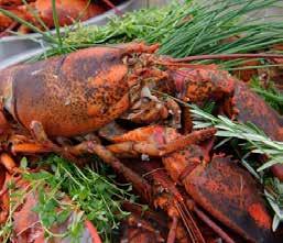 Fresh Herbs Garlic Bread Additions King Crab Legs- $20 Per Person Oysters-$4 Per