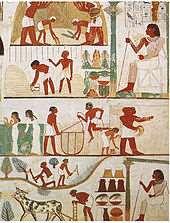 History of Egyptian Civilization Political organization began as small states ruled by local kings.