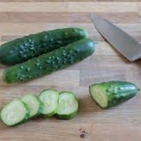 2018 Vegetable Trials Cucumber 9. Compact 10.