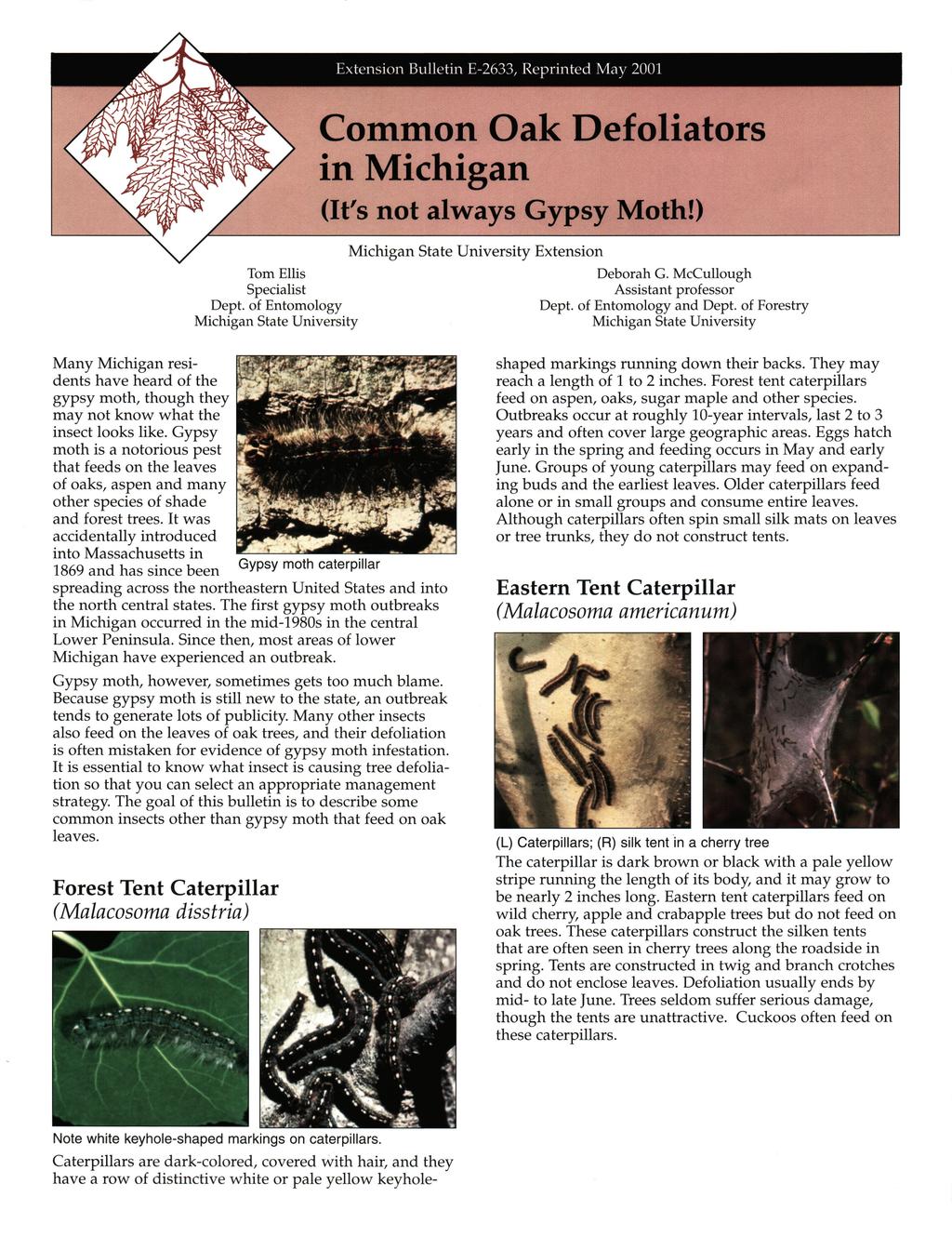 Extension Bulletin E-2633, Reprinted May 2001 Common Oak Defoliators in Michigan (It's not always Gypsy Moth!) Extension Tom Ellis Deborah G. McCullough Specialist Assistant professor Dept.