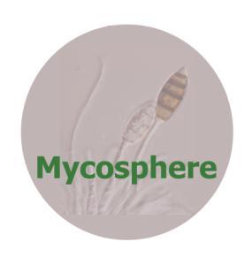 Mycosphere 1053 1064 (2013) ISSN 2077 7019 www.mycosphere.org Article Mycosphere Copyright 2013 Online Edition Doi 10.