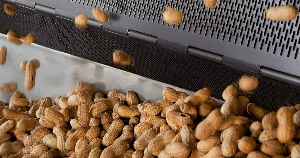 Nut processing. Innovative process solutions. Tailor-made roasting systems. The perfect solution for every application.