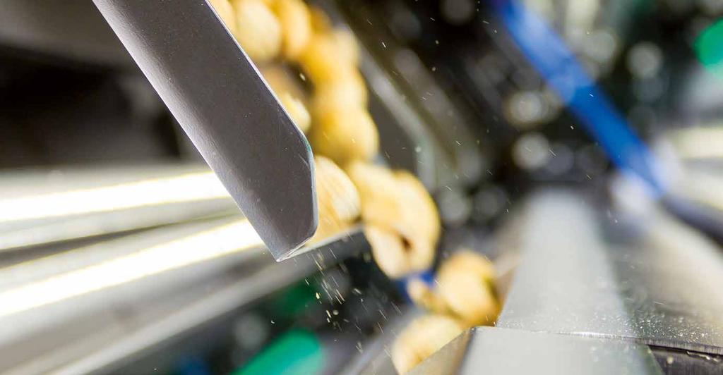 Nut processing. Innovative process solutions. Sophisticated optical sorting solutions. At all stages of the nut processing line.