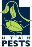 University Utah