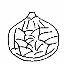 Ad. 40: Fruit: cracking of skin (first crop) Ad. 67: Fruit: cracking of skin (main crop) TG/FIG(proj.6) - 44-2 lateral cracking longitudinal cracking Ad. 42: Fruit: ease of peeling (first crop) Ad.
