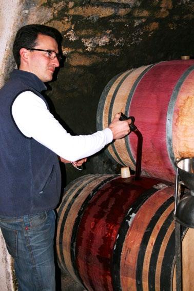 19 Domaine Henri Gouges It was clear when speaking with Grégory Gouges that his prime concern in 2013 was for the welfare of his vines almost his first comment was that the vines had suffered, not