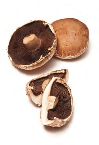 Hello Portobello! Portobello mushrooms are a favorite because they re earthy and meaty, reasons that make them popular in many vegetarian dishes.