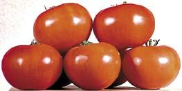 Vitamin C California Seedless Navel Oranges