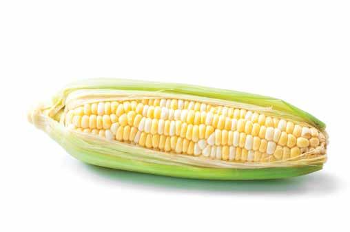 Bi-Color Corn 2/ 1