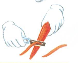 Scrape the peeler toward the counter, peeling off the skin. 3. Rotate the carrot until all the skin is scraped off.