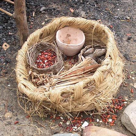 Use of Natural Resources The Powhatan had lived in the area for