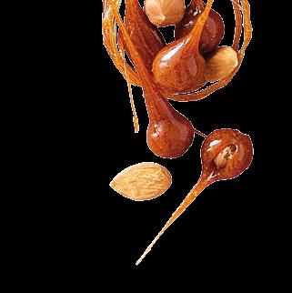 Nuts Almond/Hazelnut Grands Pralines (Valencia almonds from Spain/Roman hazelnuts from Italy) FRUIT REVELATION ALMOND & HAZELNUT PRALINE 60% FRUITY ALMOND & 11307 HAZELNUT PRALINE 50% 4697 A