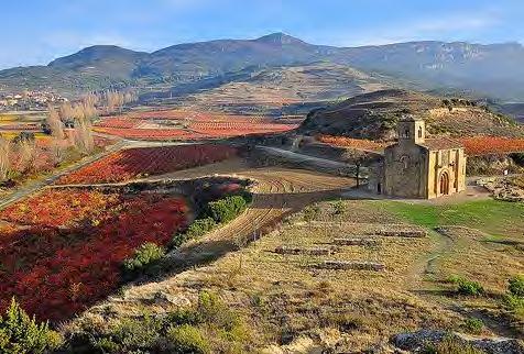 As Spain s wine industry modernized and looked to foreign markets, Rioja s producers built gleaming bodegas, employing top architects like Frank Gehry and Santiago Calatrava to redefine what a winery