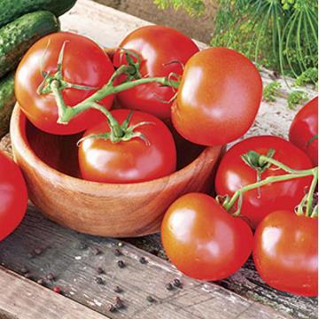 Indeterminate Celebrity This AAS winner is resistant to just about every tomato pest you'll find!