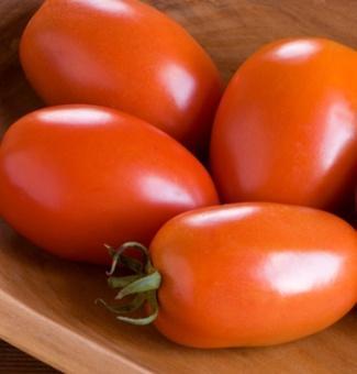 Indeterminate Paste Tomatoes San Marzano Excellent for canning, tomato paste, or puree.