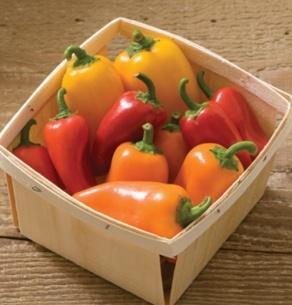 One of the most popular sweet peppers in the USA! Produces high yields of 6" long sweet peppers.