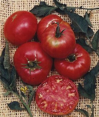 Pruden s Purple Rivals Brandywine as the best-flavored heirloom tomato with silky texture.
