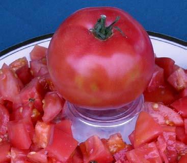 Eva Perple Ball SL I 70 Purpl e- Black A vigorous, 1800 s heirloom tomato from the Black Forest region of Germany.