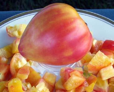 , heart-shaped fruit, yellow-orange with a pink blush, very meaty with a red center.