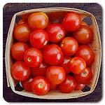Sweetie CH I 65 R The name says it all: supersweet red cherry tomato with high sugar content - eaten right off