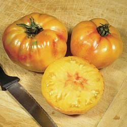 lemon-yellow skin, good clear yellow, beefsteak very sweet, thick walled, low