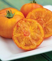 seedless tomato, great fruit firmness & shelf life branches Tomato Name :