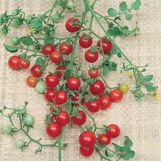 Currant Red Indeterminate 65 days ¼ Pea-sized fruits possess a crunchy, fruity flavor