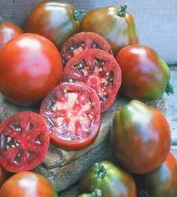 Meaty, red tomatoes with superior sweet flavors, just the right amount of acid, this tomato plant should be trellised as each
