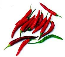 Hot Peppers: Chile De Arbol Chiles de Arbol are narrow, curved, hot chiles that start out