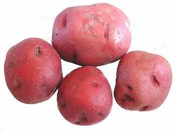 (Sorry our potatoes, while grown using all organic methods, are not certified organic at this time.) $9.95 $9.